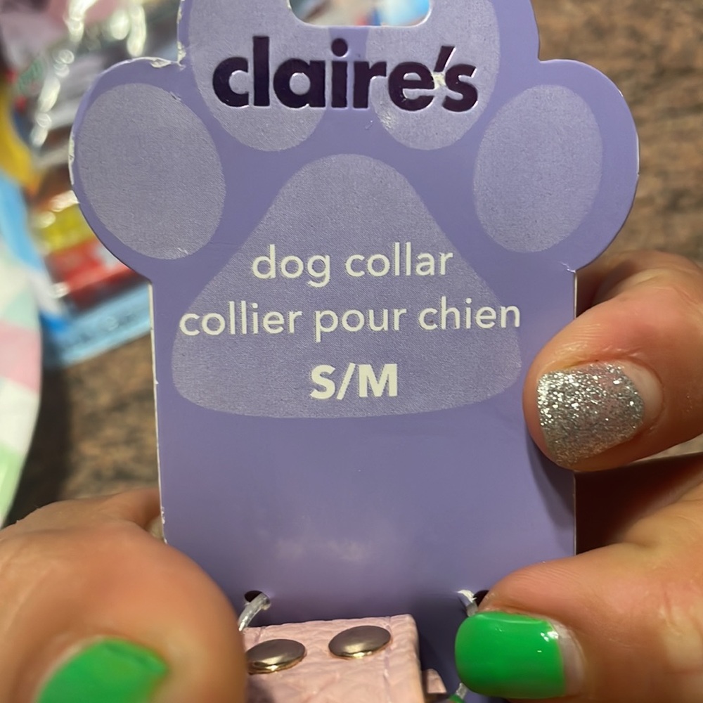 Dog Collar - Picture 5 of 5